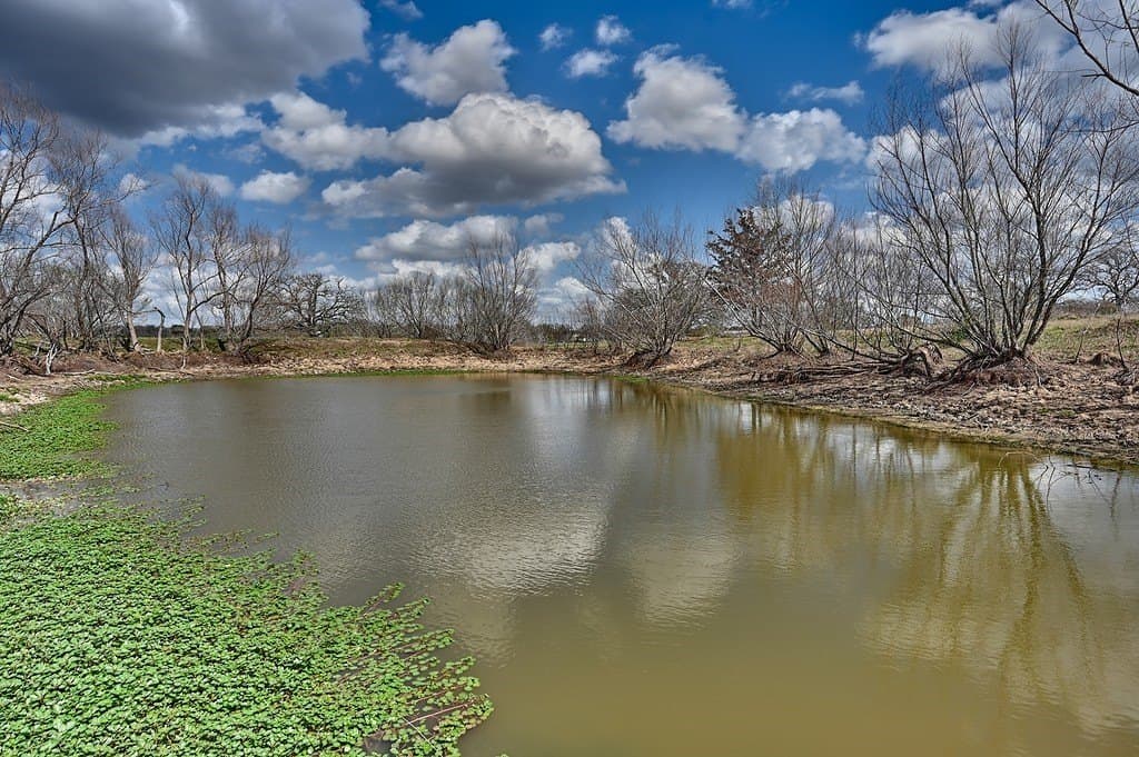 156.92 acres in Lee County - photo 9