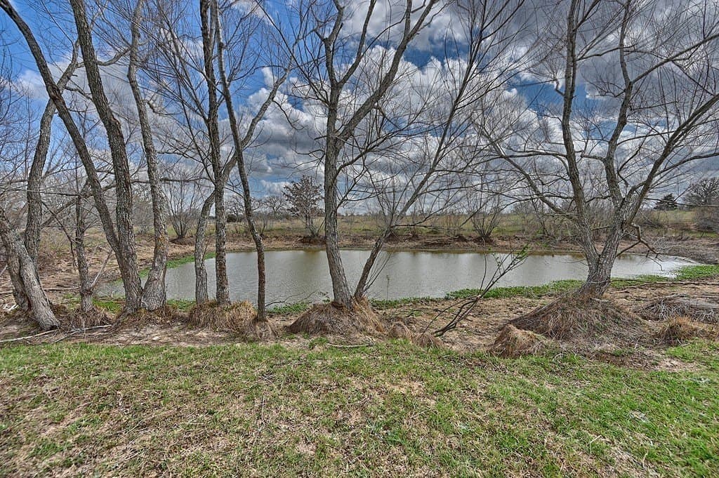 156.92 acres in Lee County - photo 10
