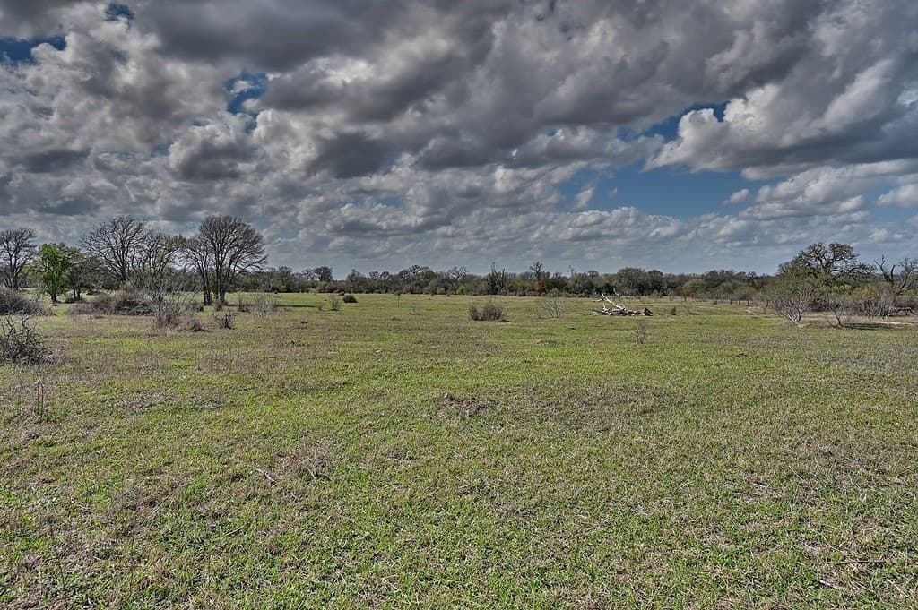 156.92 acres in Lee County - photo 13