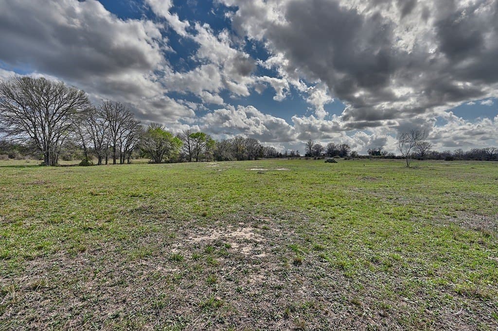 156.92 acres in Lee County - photo 12