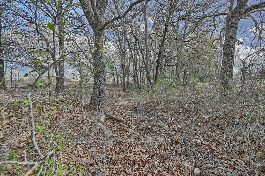 156.92 acres in Lee County - photo 18