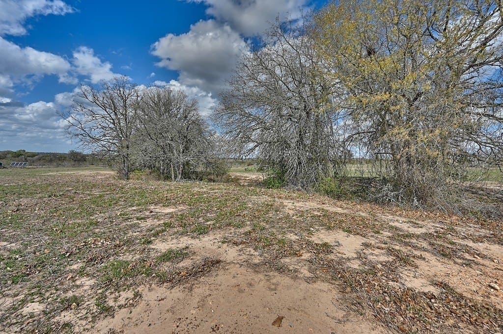 156.92 acres in Lee County - photo 15