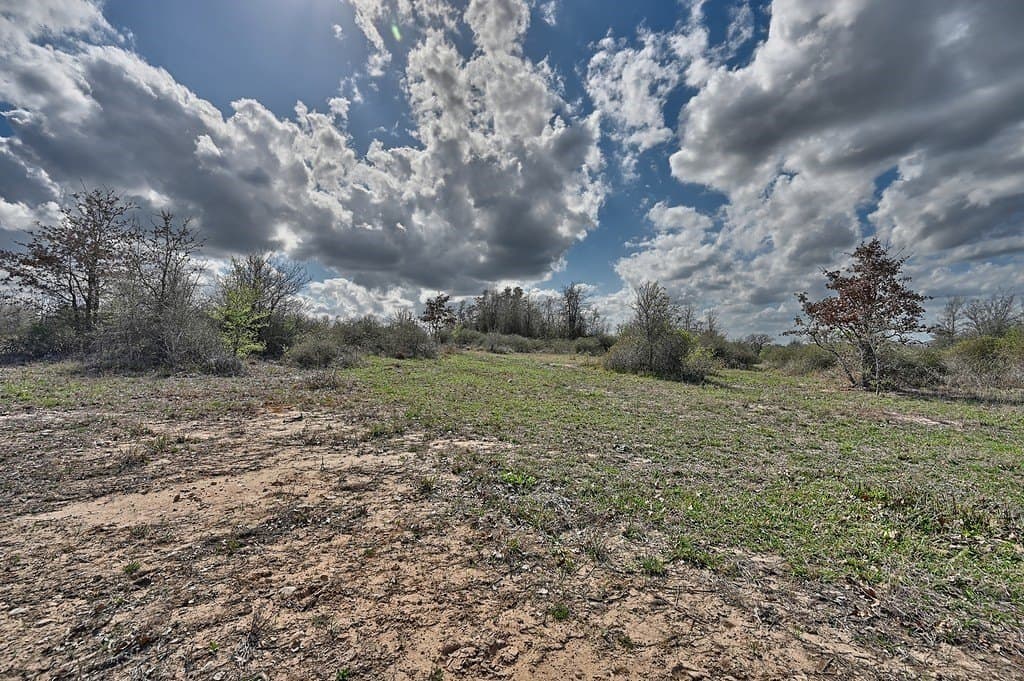 156.92 acres in Lee County - photo 21