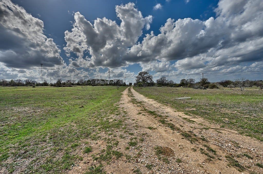 156.92 acres in Lee County - photo 8