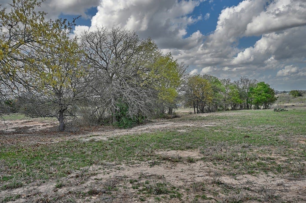 156.92 acres in Lee County gallery image 3