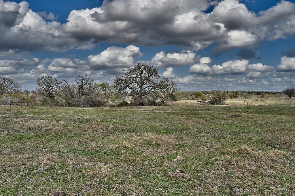 156.92 acres in Lee County featured view