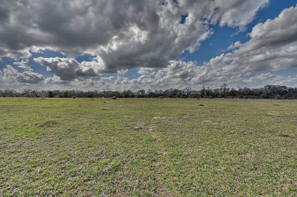 156.92 acres in Lee County - photo 11