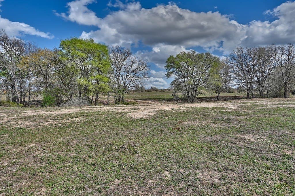 156.92 acres in Lee County - photo 17