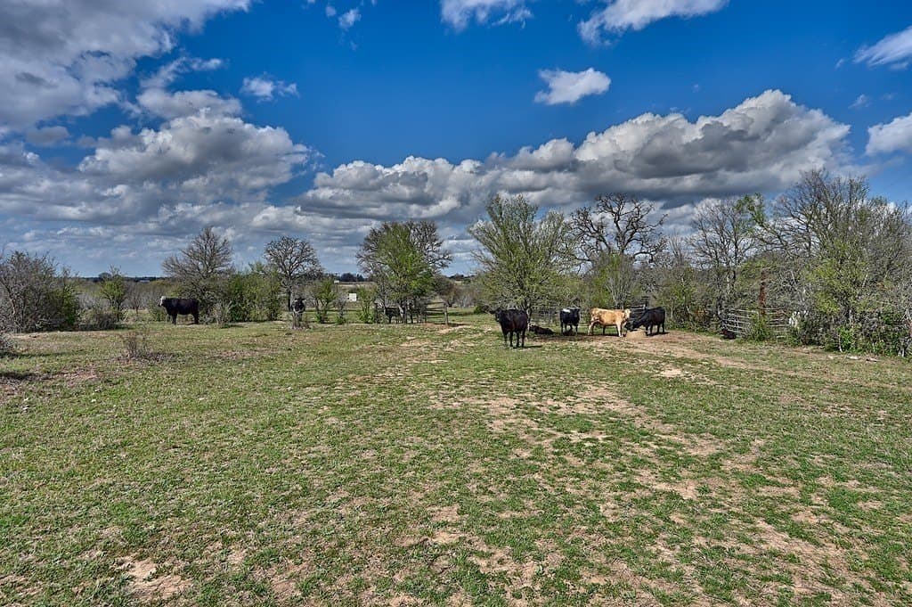 156.92 acres in Lee County - photo 20