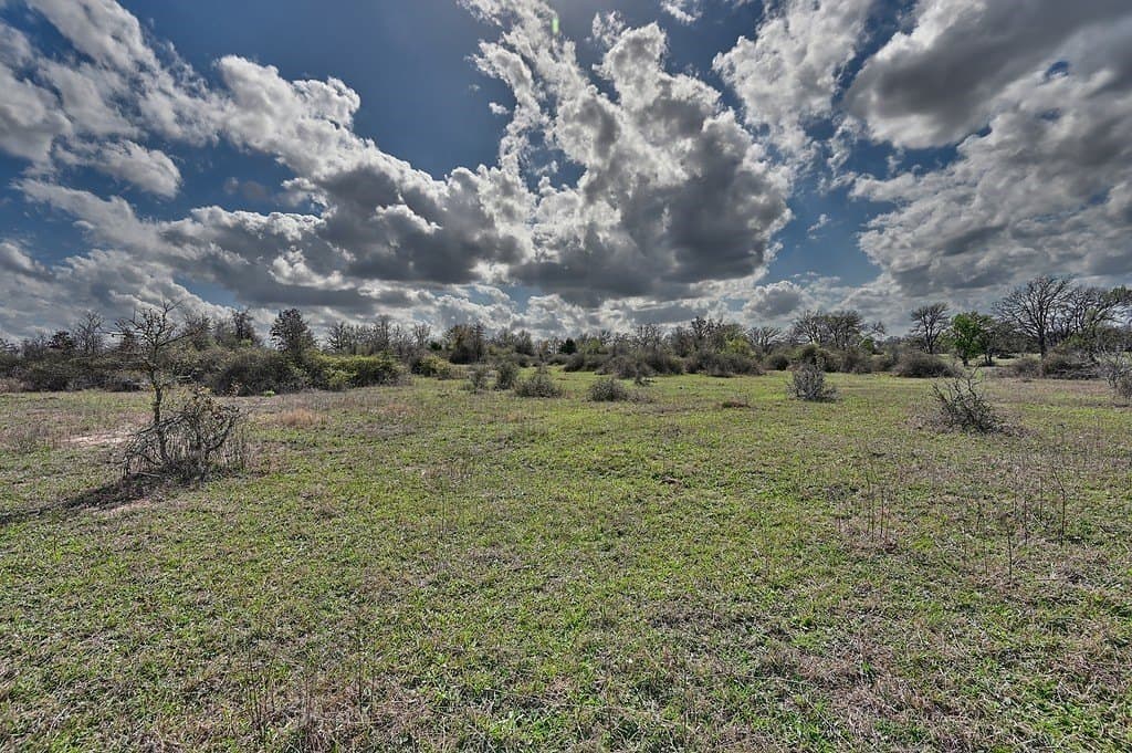 156.92 acres in Lee County - photo 22