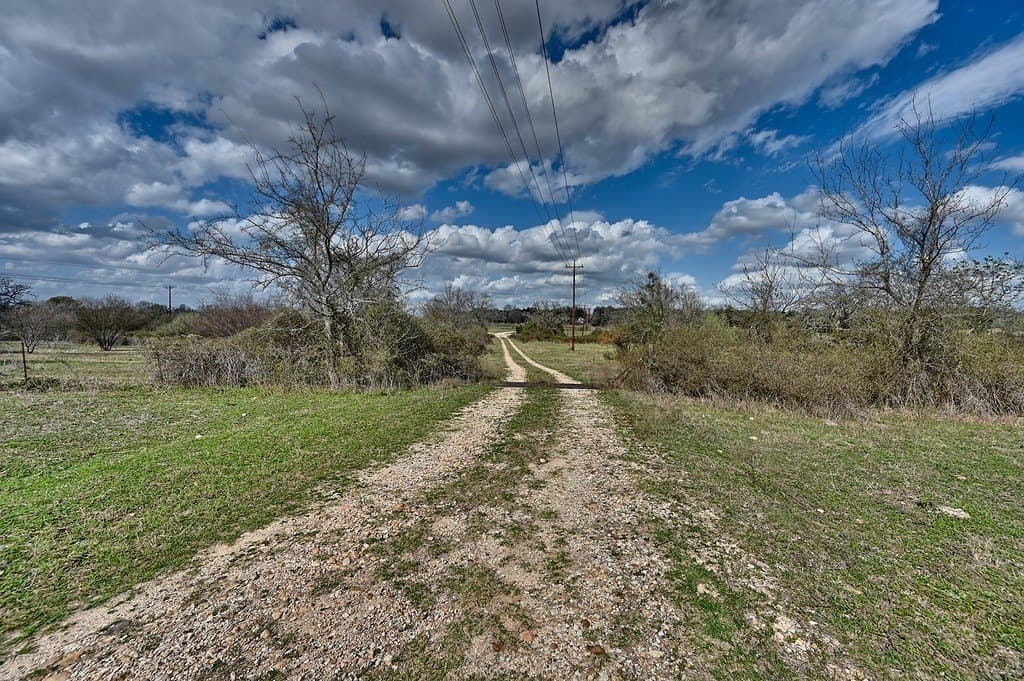 156.92 acres in Lee County - photo 7