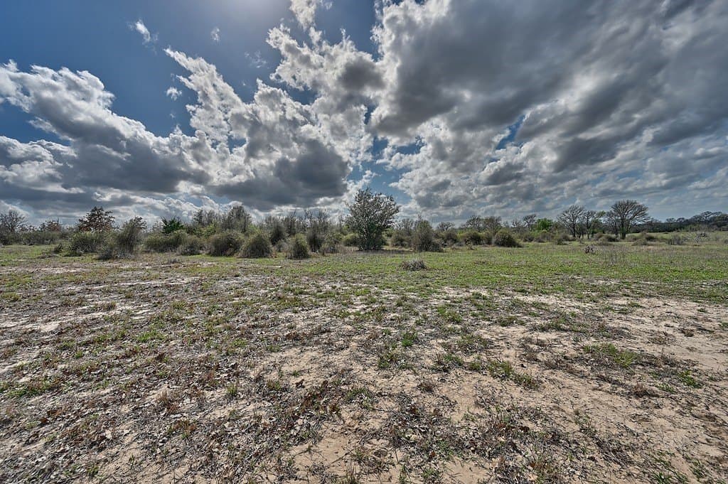 156.92 acres in Lee County - photo 23