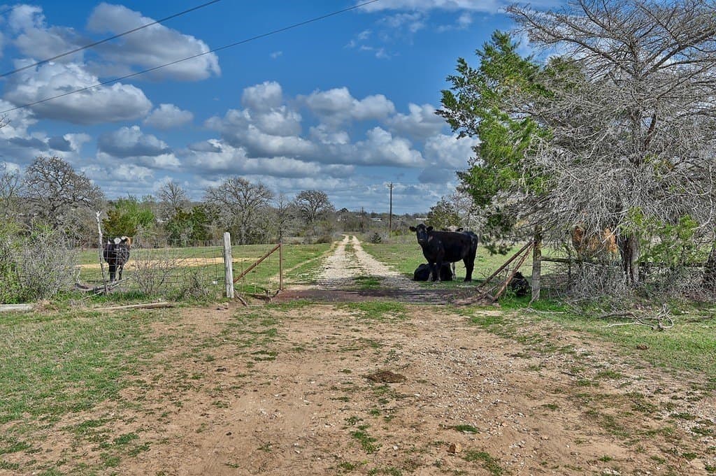 156.92 acres in Lee County - photo 19