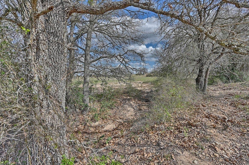 156.92 acres in Lee County - photo 16