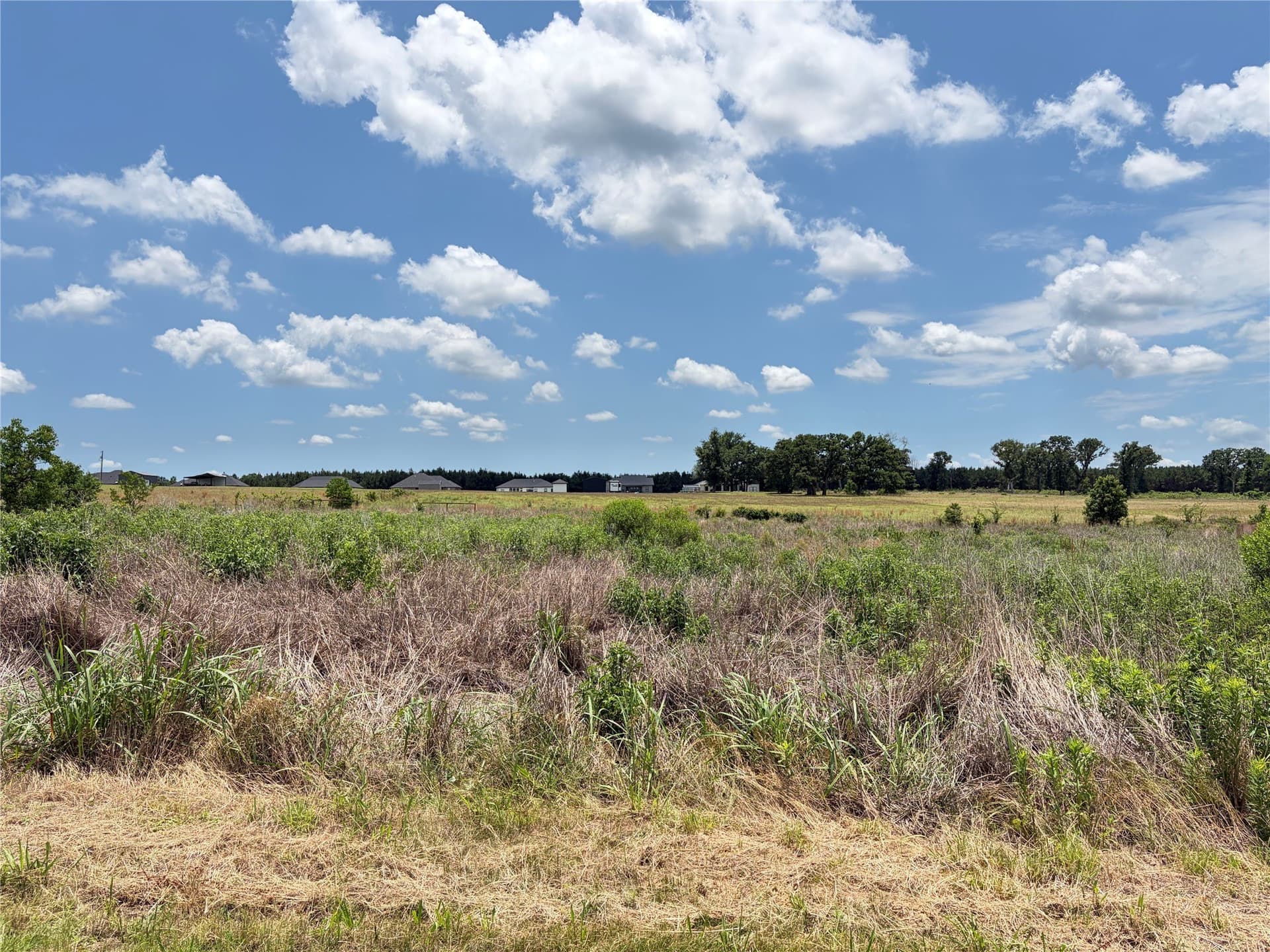 0.84 acres in Henderson County - photo 10