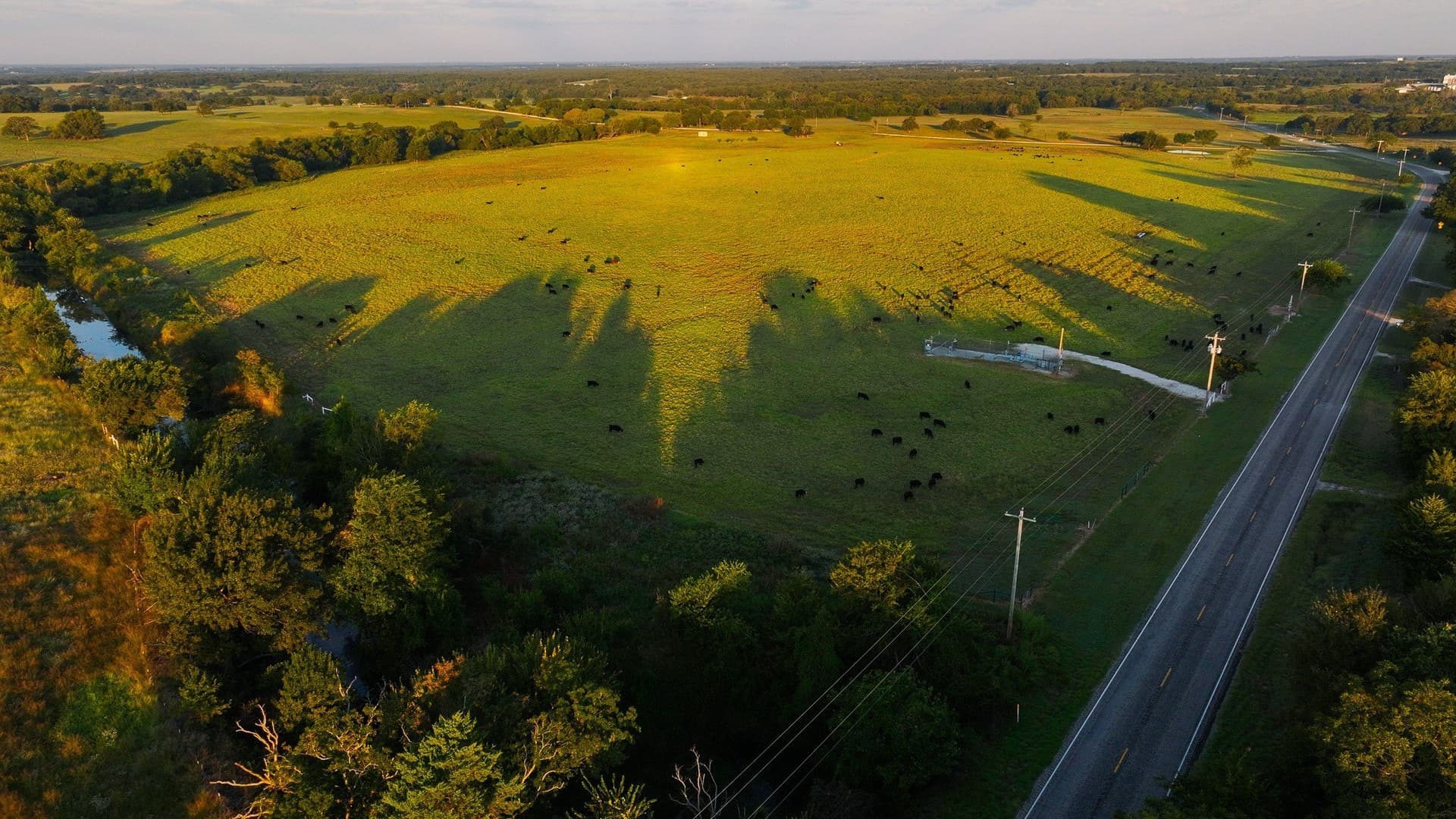 421.38 acres in Montague County - photo 7