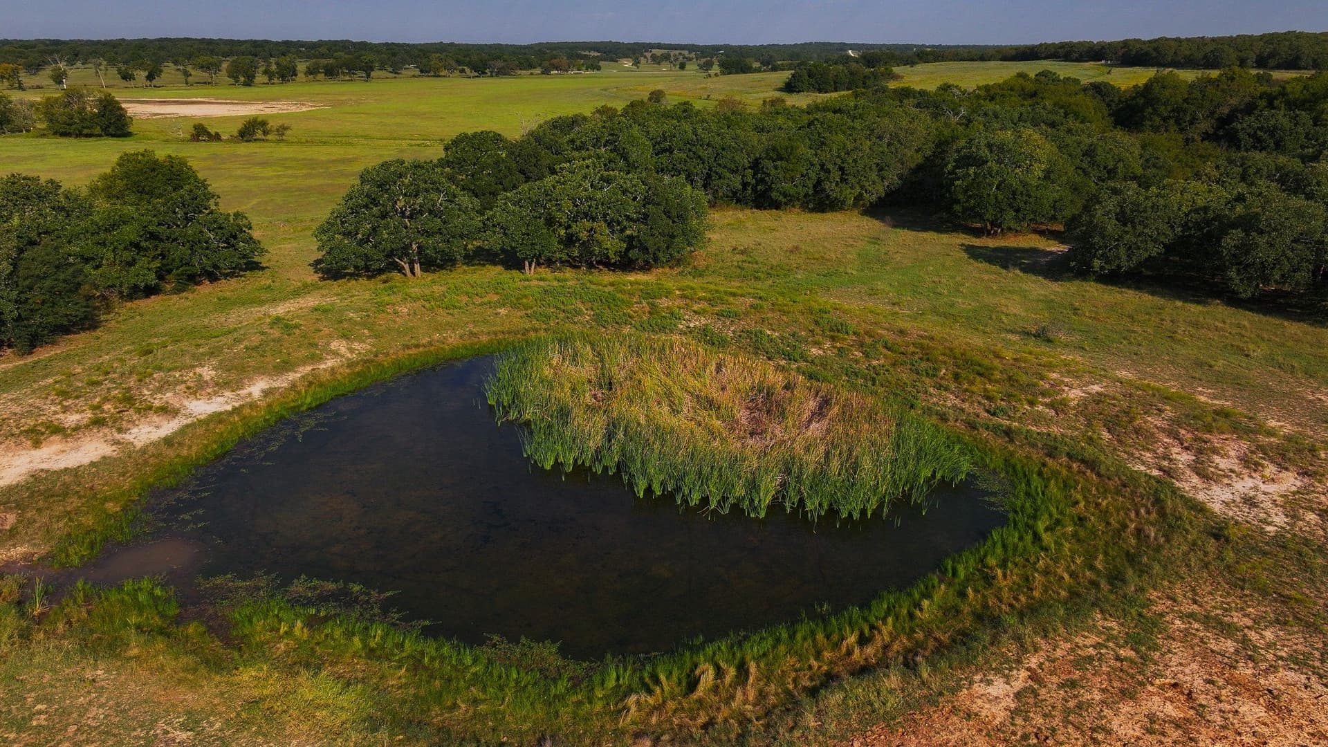 421.38 acres in Montague County - photo 19