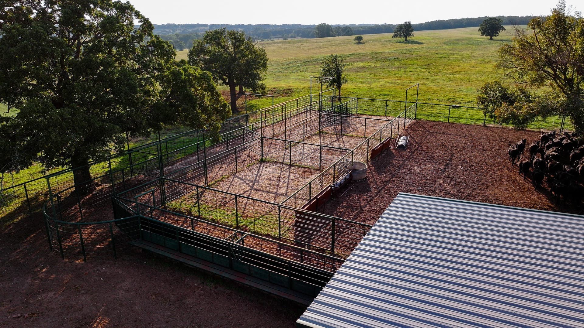 421.38 acres in Montague County - photo 12