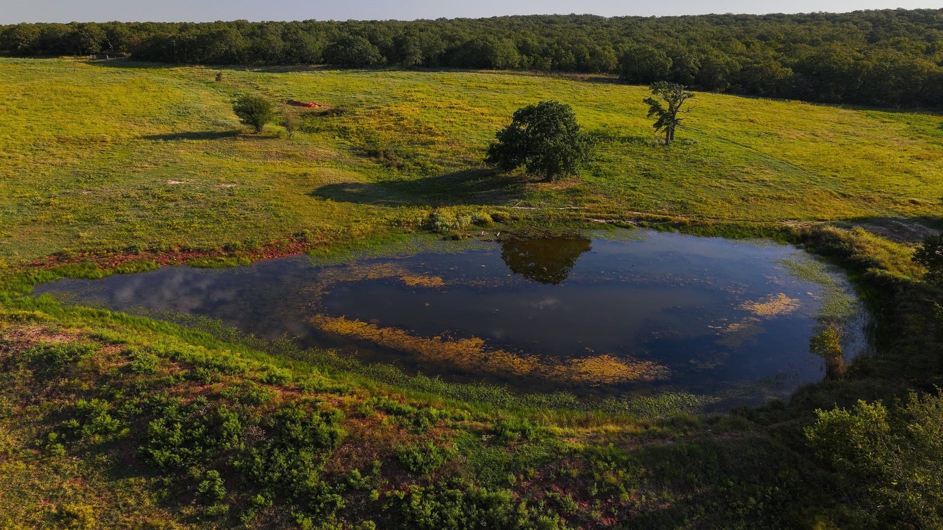 421.38 acres in Montague County - photo 20