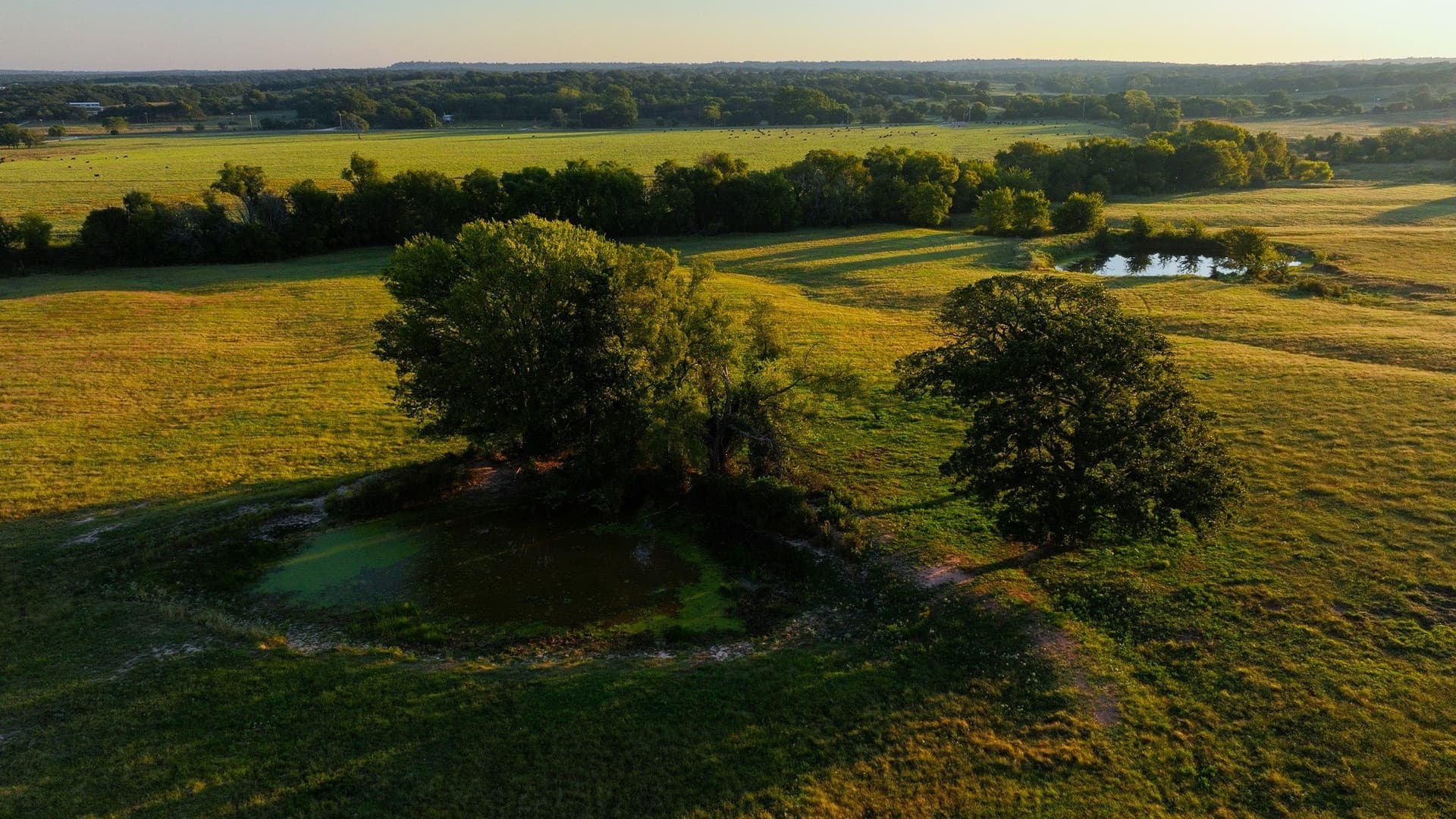 421.38 acres in Montague County - photo 9