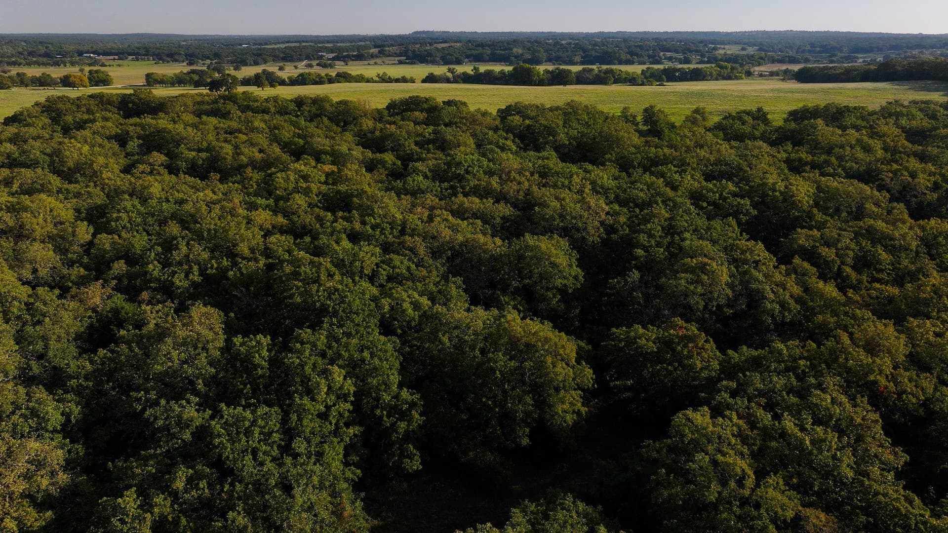 421.38 acres in Montague County - photo 21