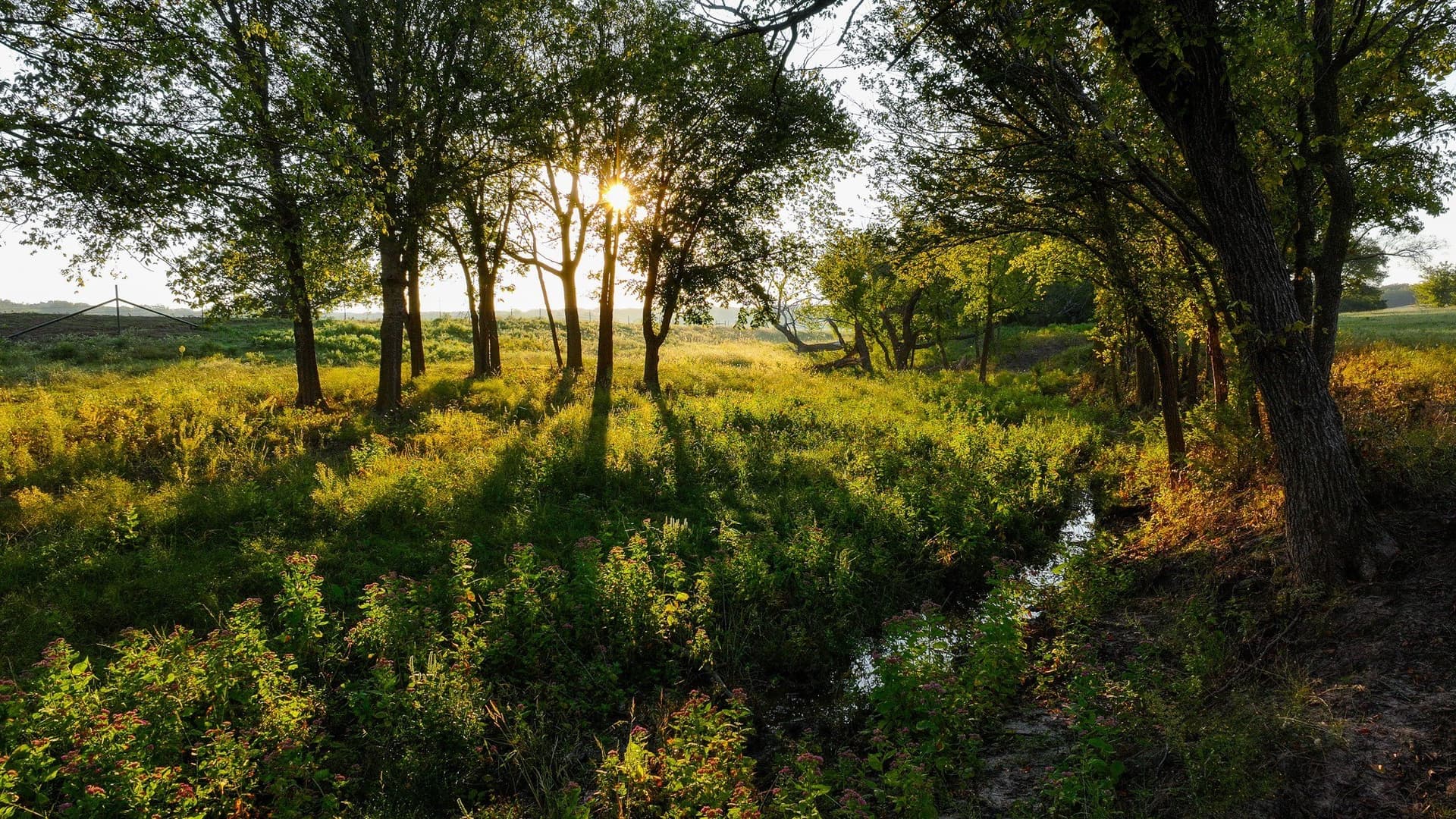 421.38 acres in Montague County - photo 33