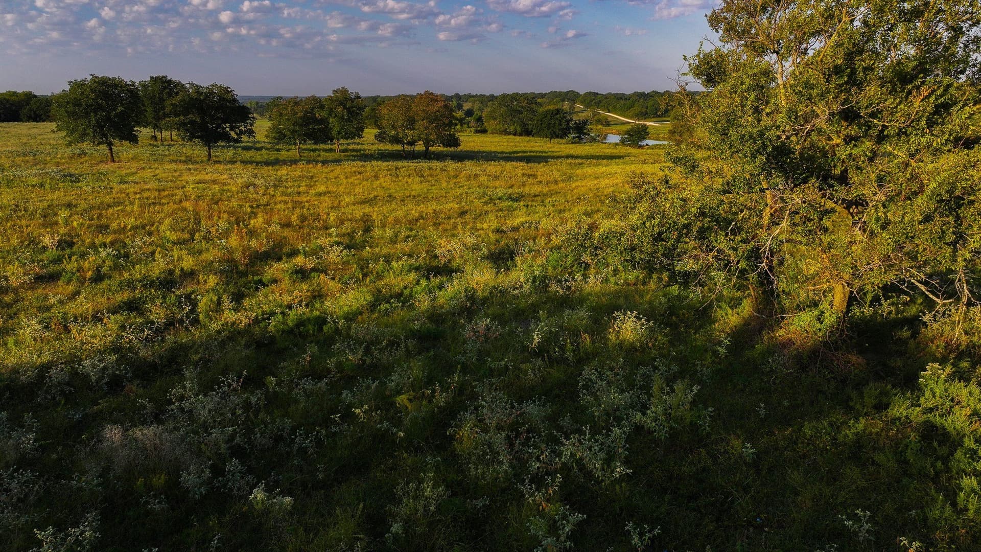 421.38 acres in Montague County - photo 17