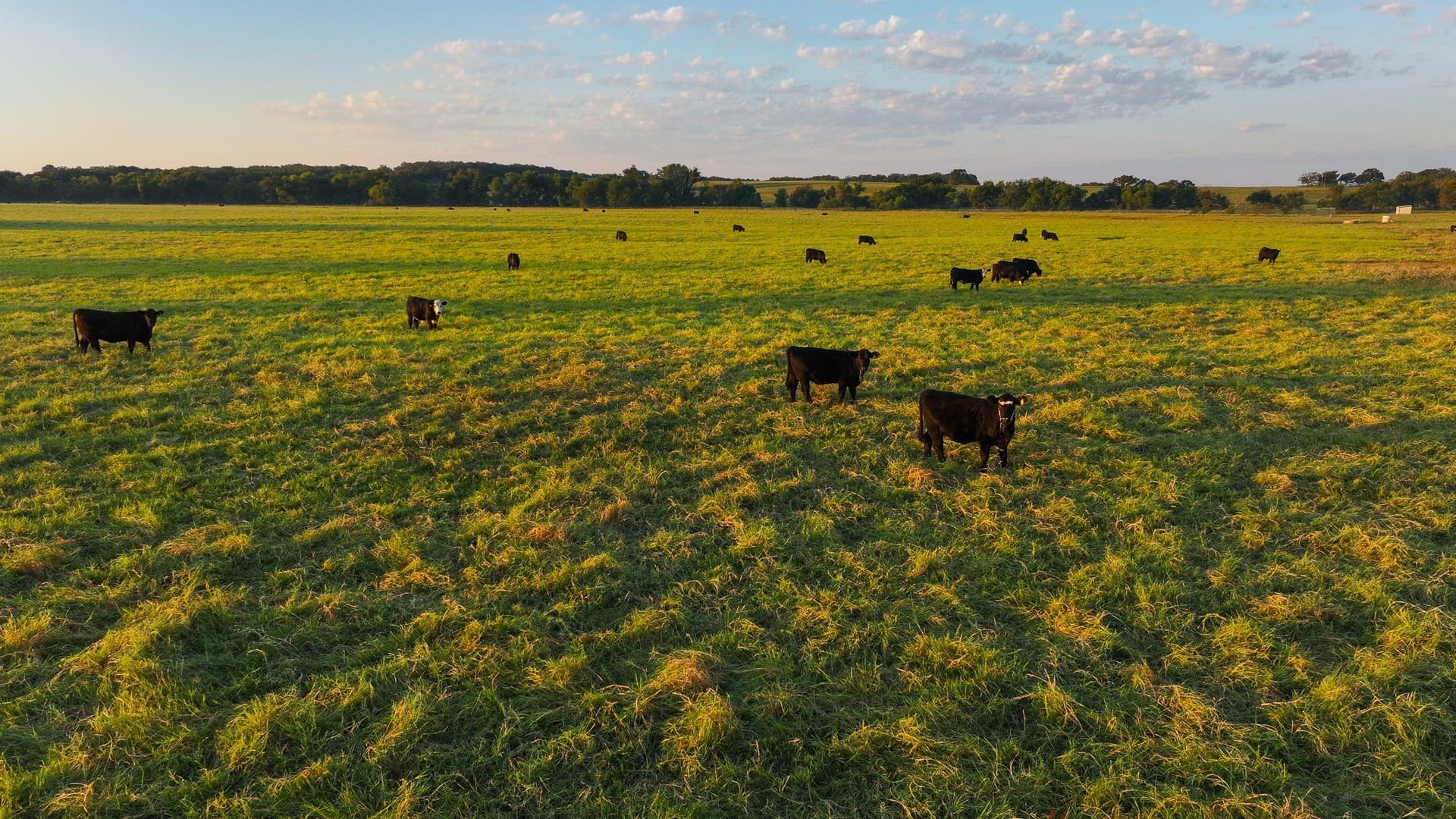 421.38 acres in Montague County - photo 6