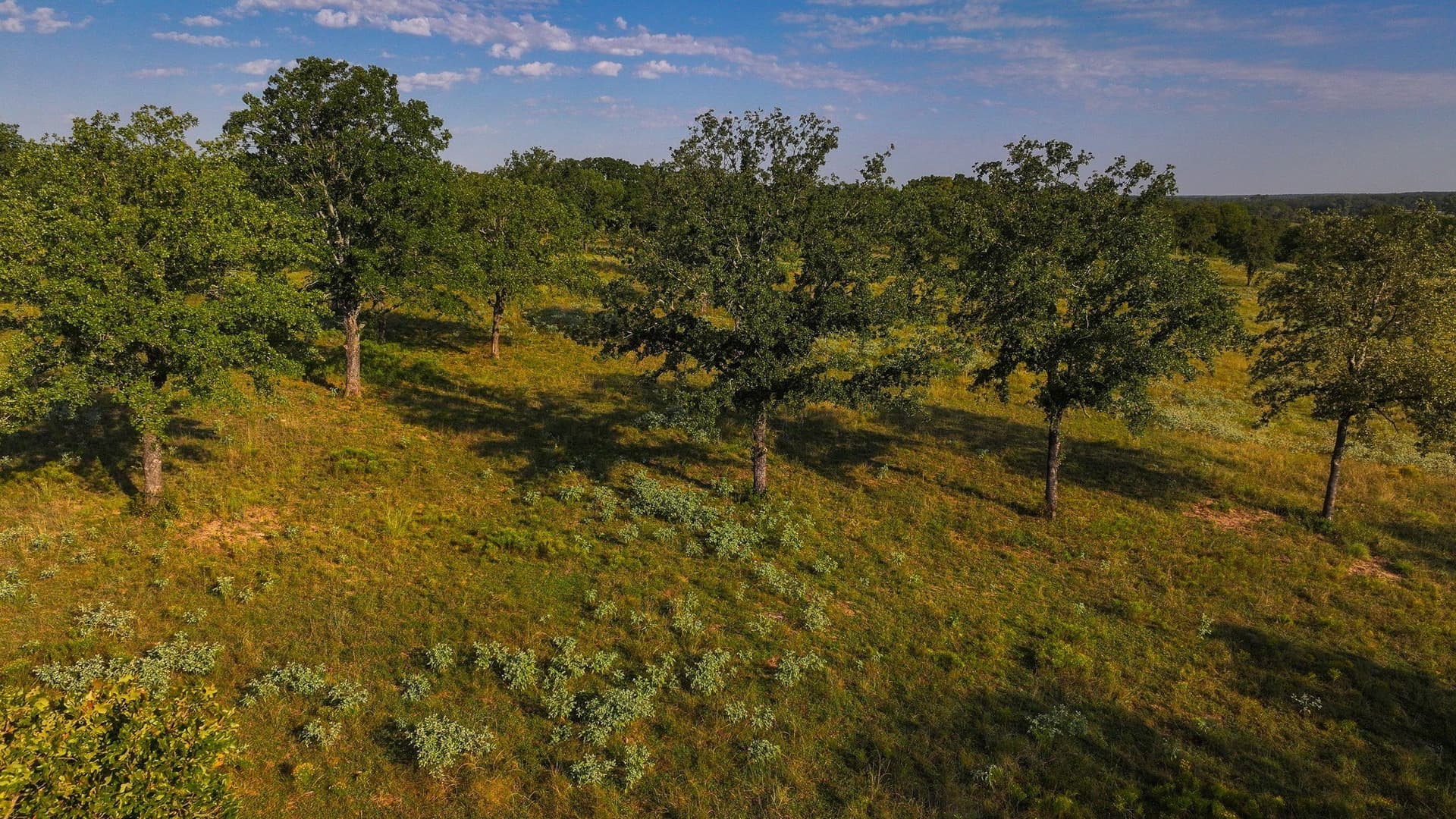 421.38 acres in Montague County - photo 24
