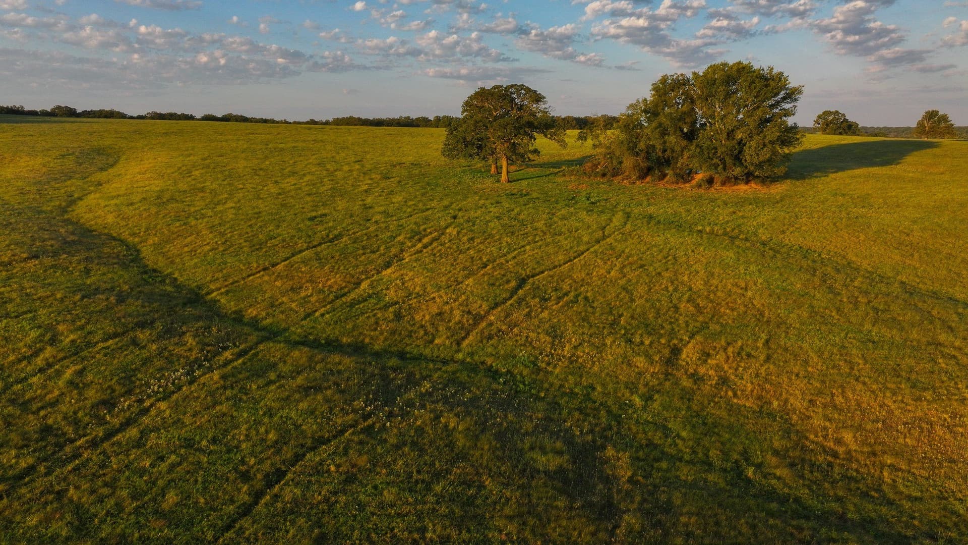 421.38 acres in Montague County - photo 29