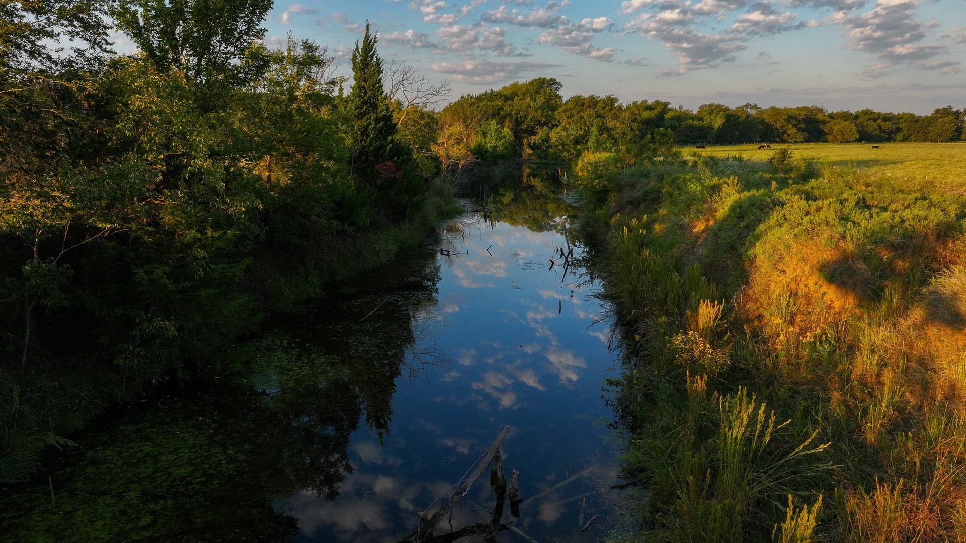 421.38 acres in Montague County - photo 8