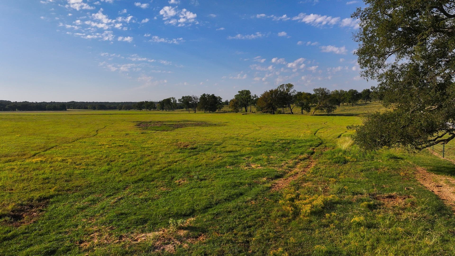 421.38 acres in Montague County - photo 30
