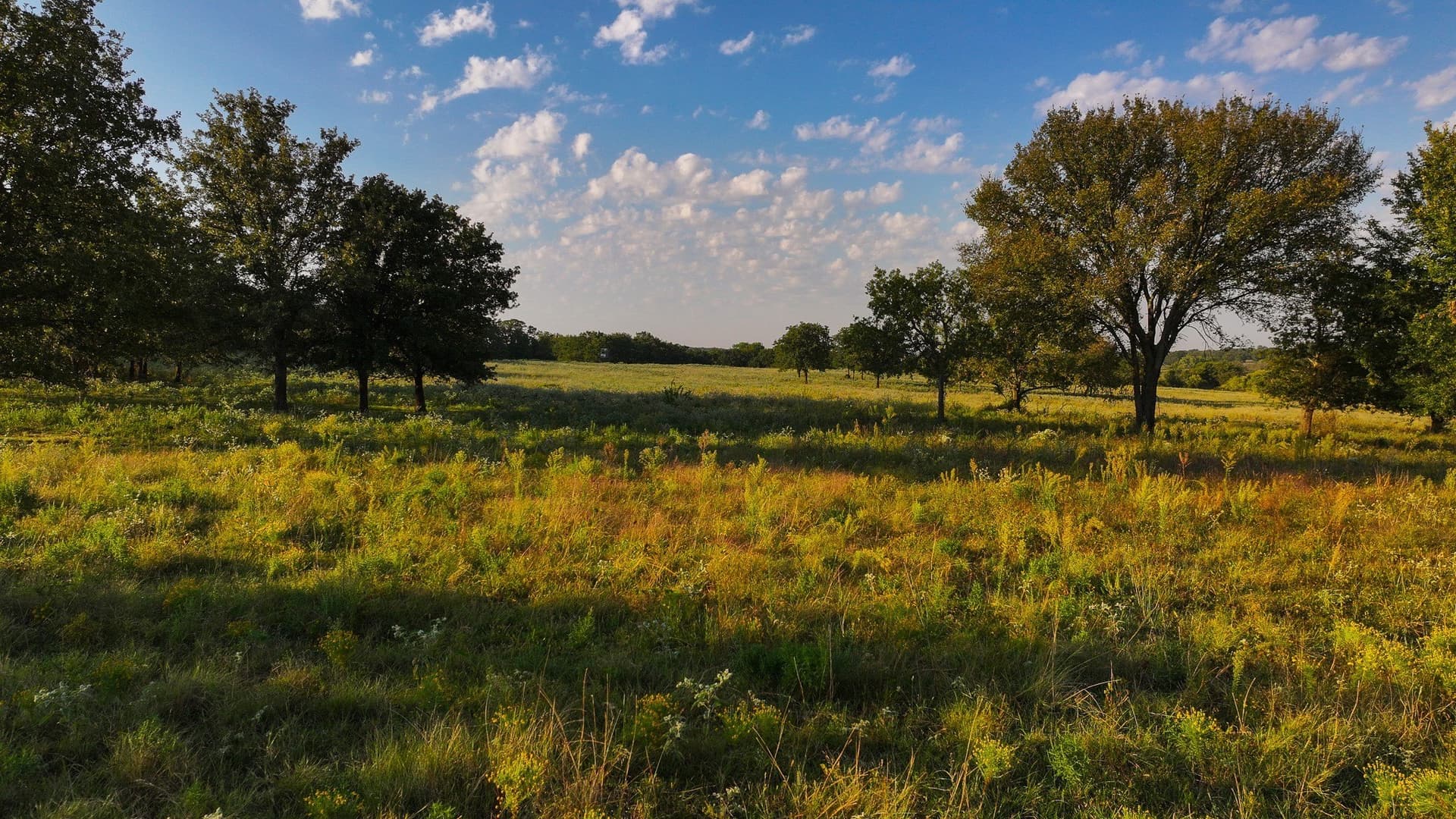 421.38 acres in Montague County - photo 10