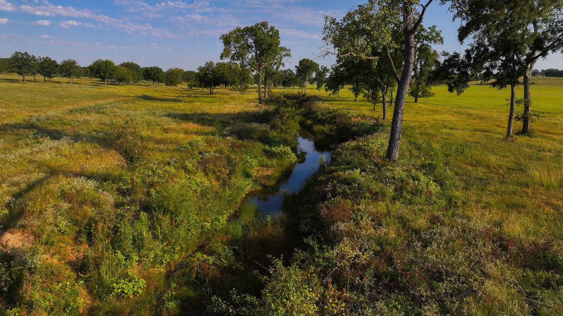 421.38 acres in Montague County - photo 25