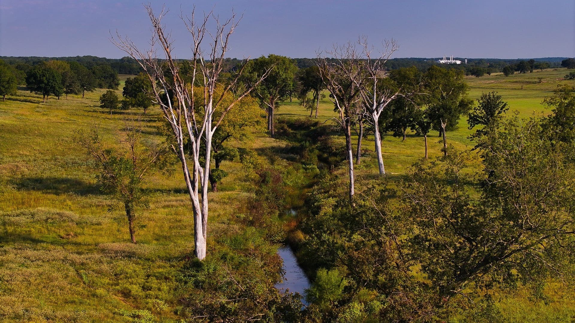 421.38 acres in Montague County - photo 27