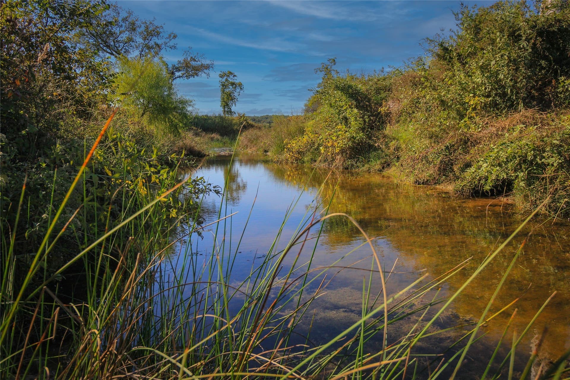 421.38 acres in Montague County - photo 26
