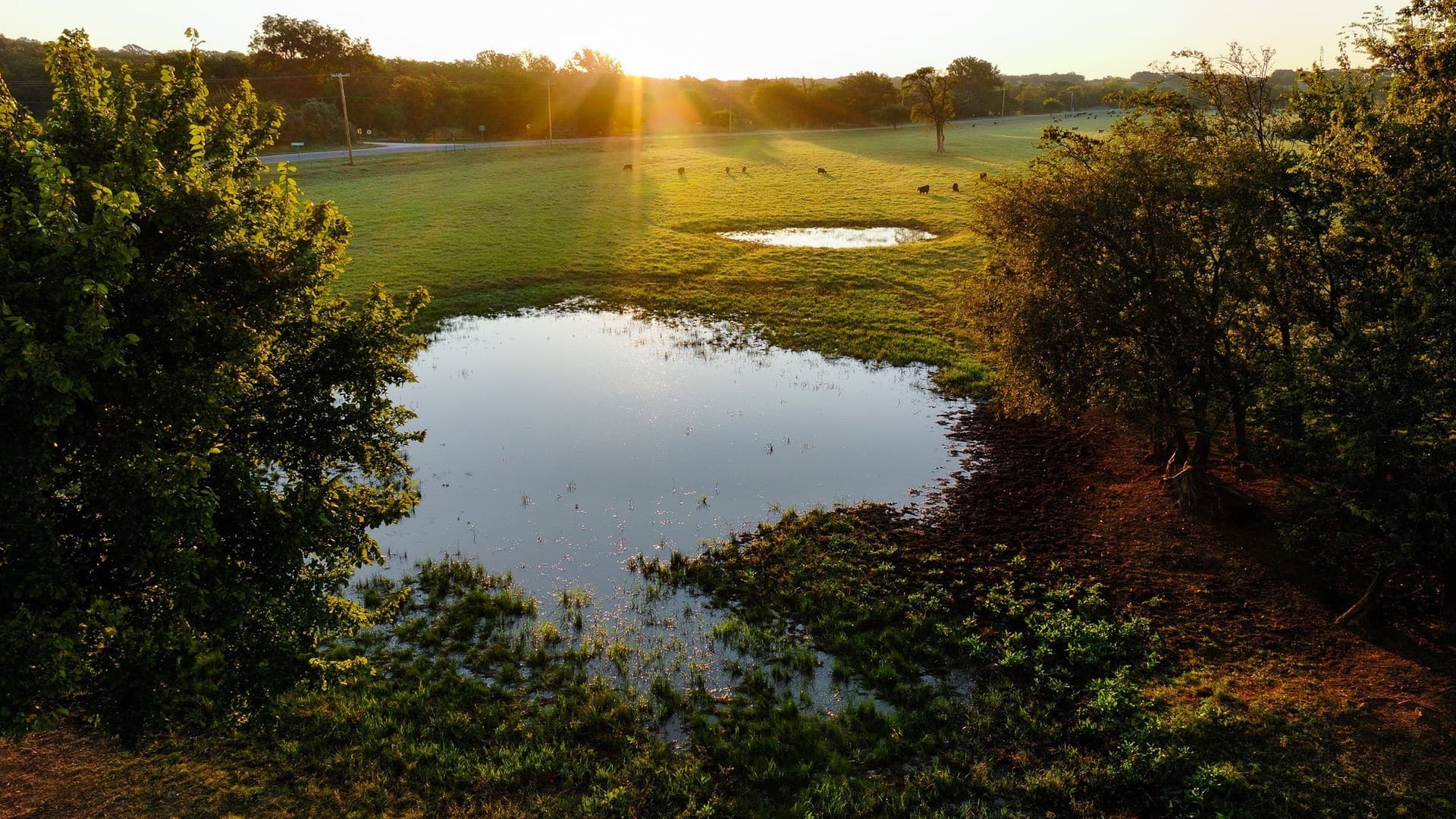 421.38 acres in Montague County - photo 4