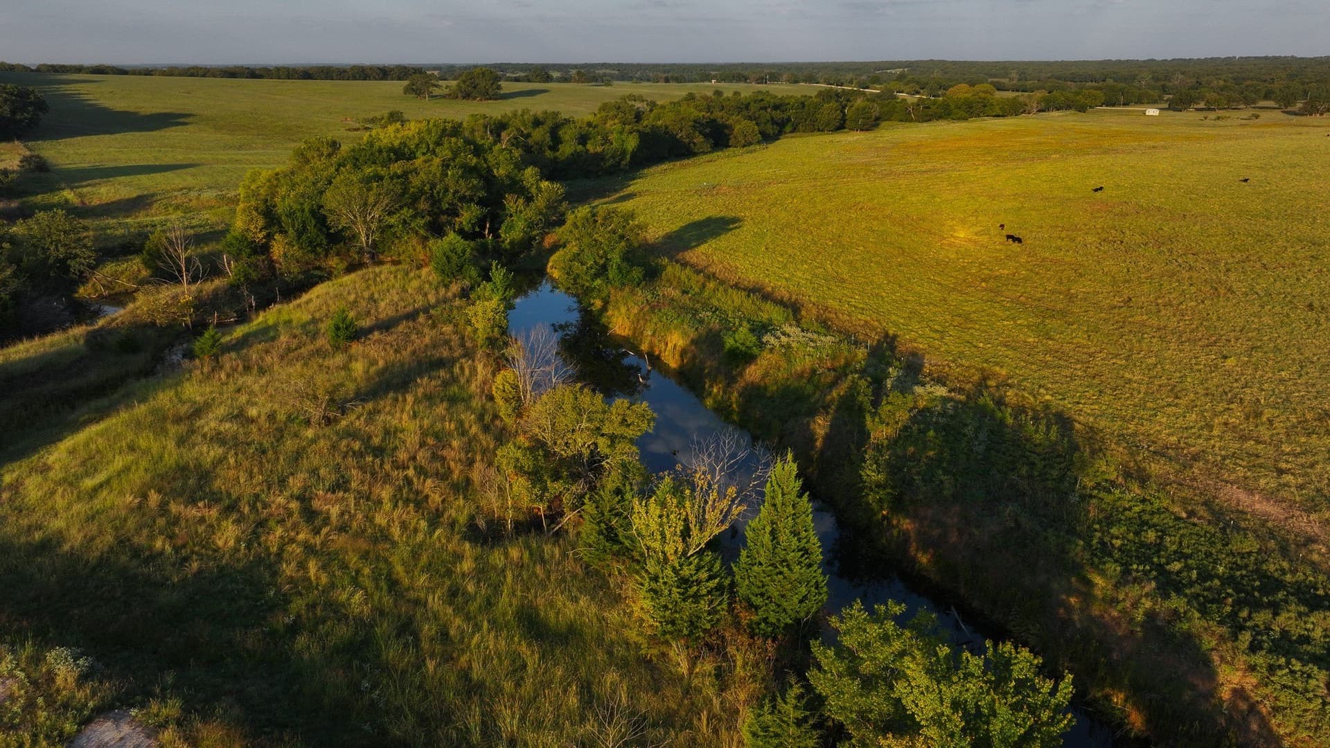 421.38 acres in Montague County - photo 3