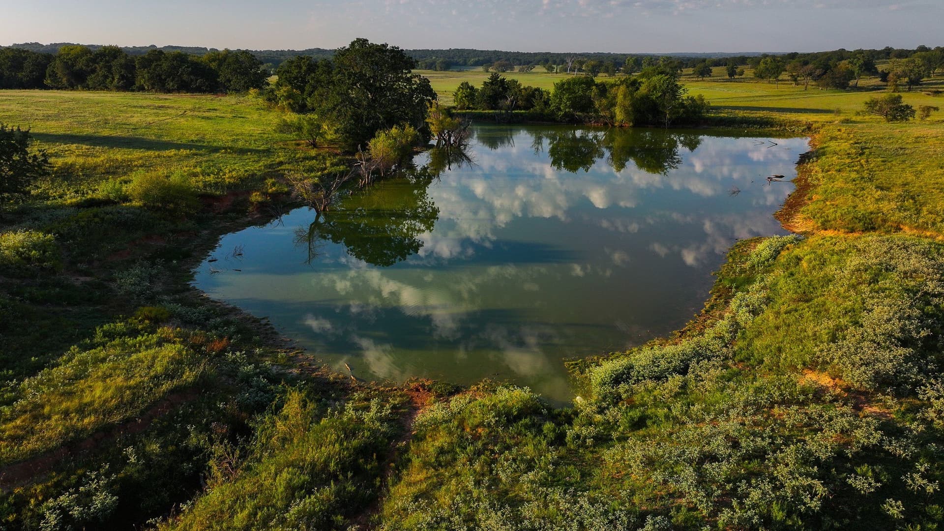 421.38 acres in Montague County - photo 14