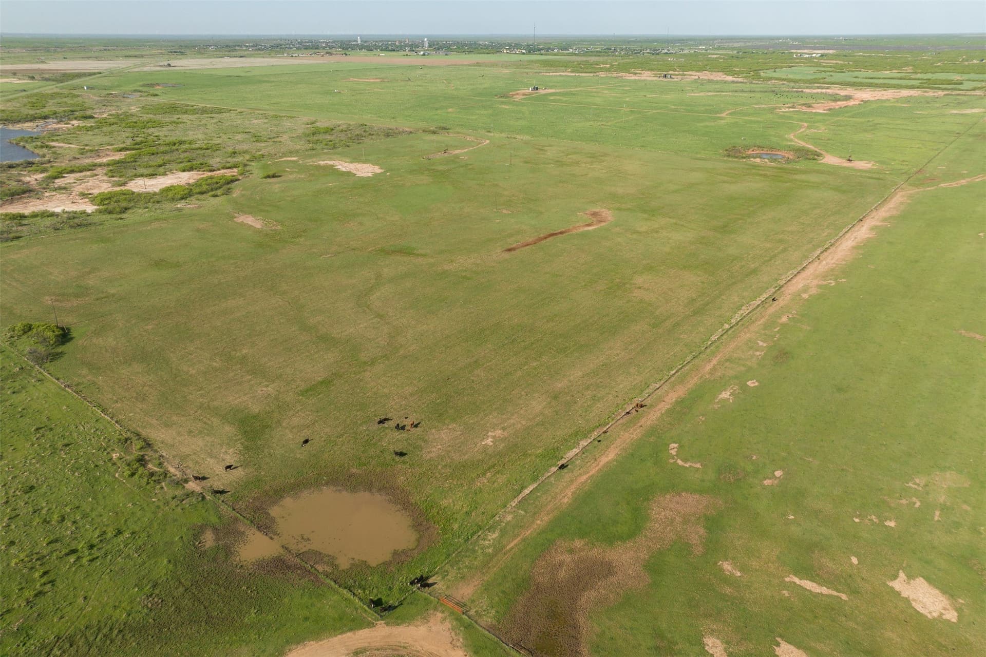 303.07 acres in Wichita County - photo 23