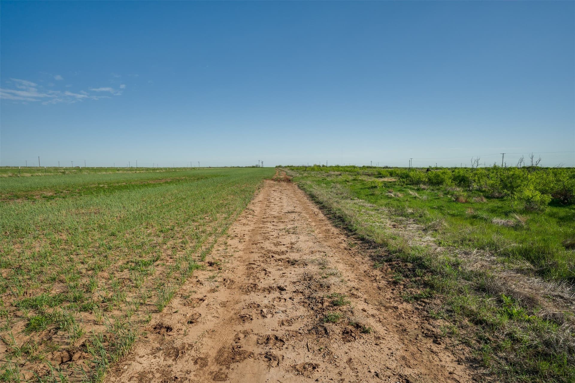 303.07 acres in Wichita County - photo 33