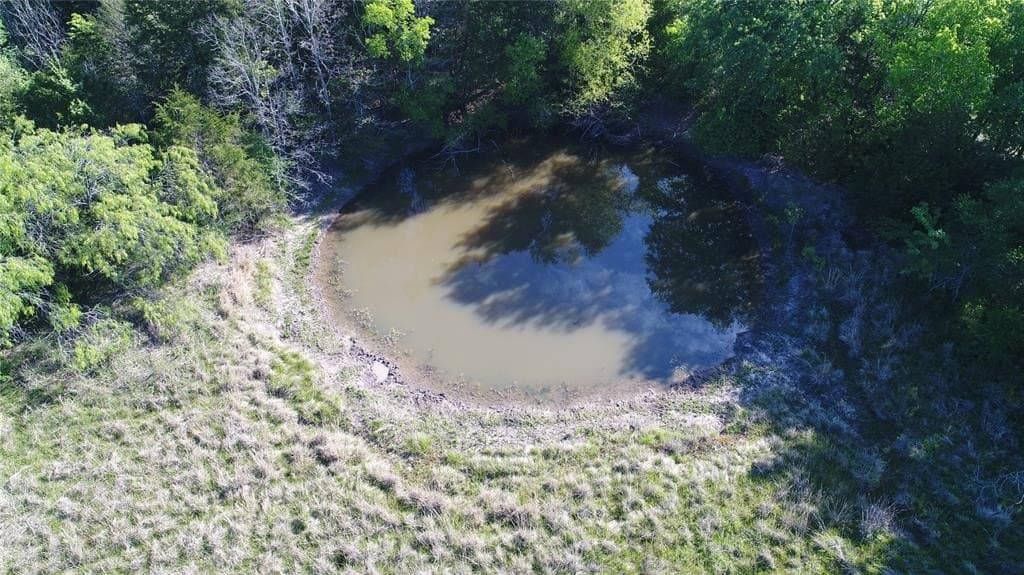 39.29 acres in Navarro County gallery image 3