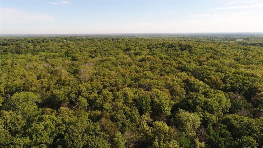 39.29 acres in Navarro County gallery image 2