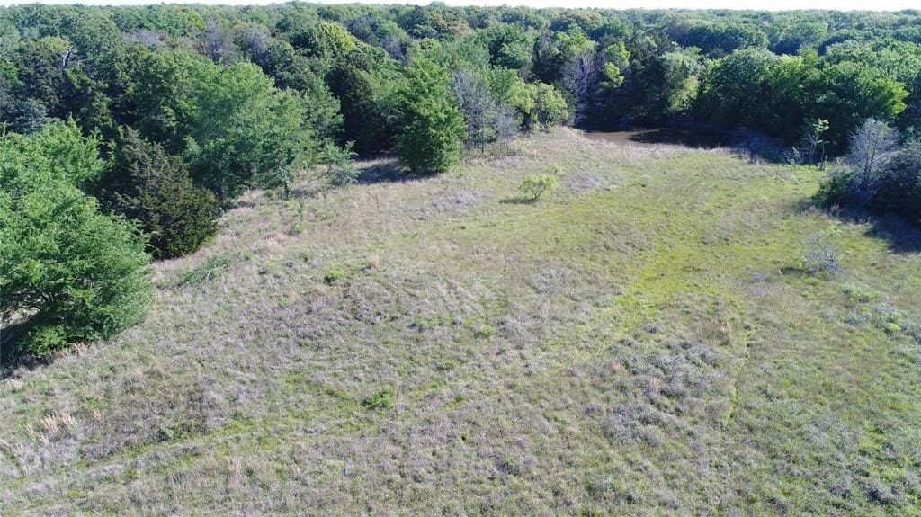 39.29 acres in Navarro County featured view