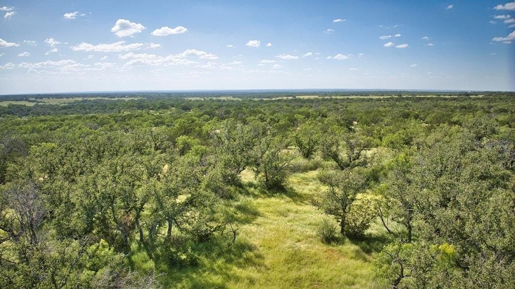 80 acres in Mason County gallery image 3