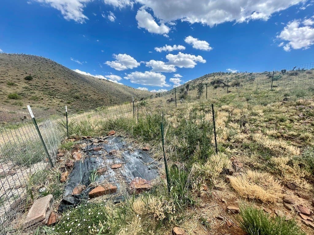 111 acres in Brewster County - photo 33