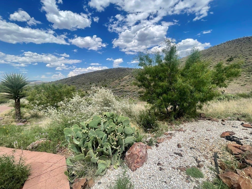 111 acres in Brewster County - photo 34