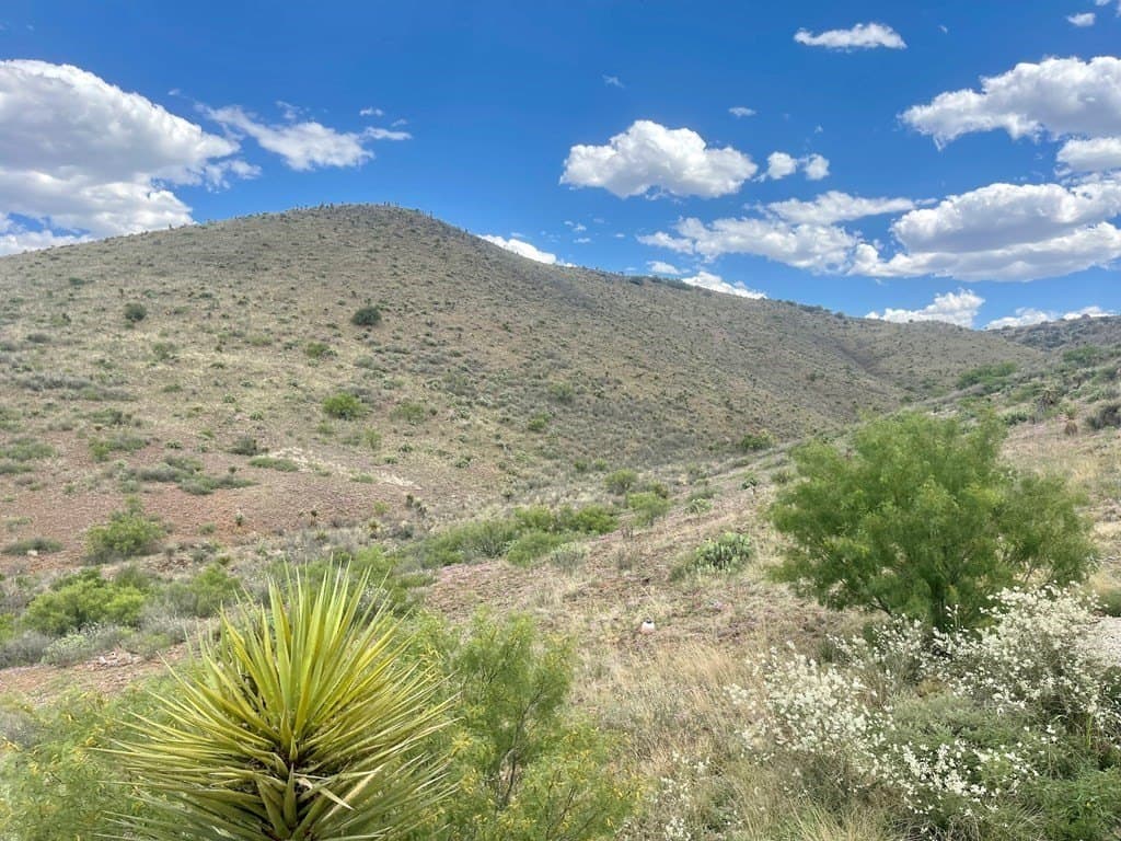 111 acres in Brewster County - photo 30