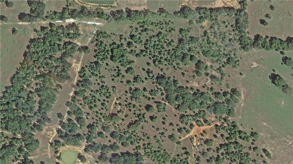 15.15 acres in Robertson County - photo 16