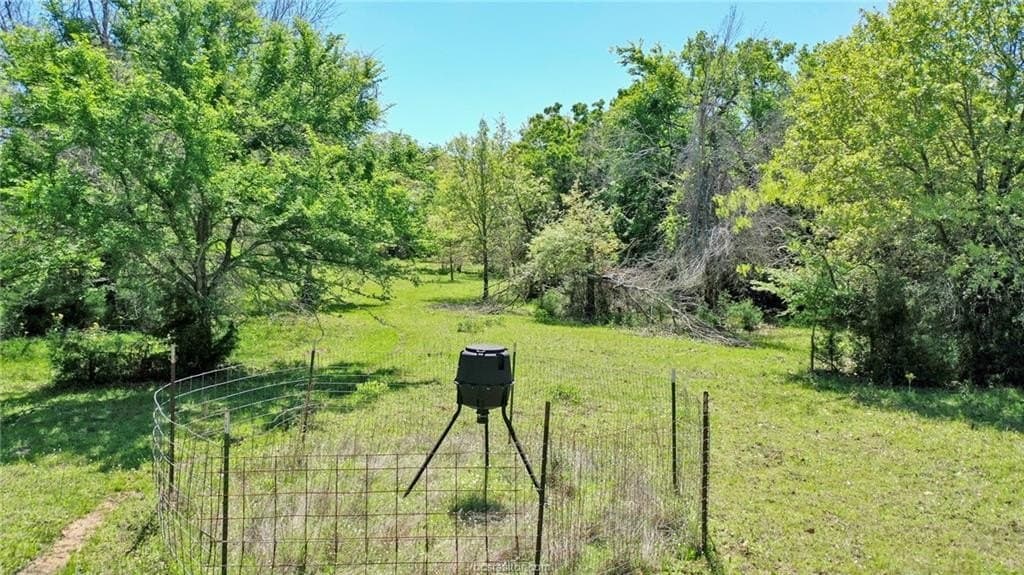 15.15 acres in Robertson County - photo 6